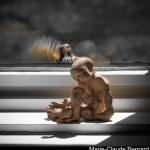 Séparation douloureuse