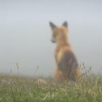 jeremie_leblond_fontaine2