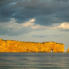 2022 LES DÉCOUVERTES