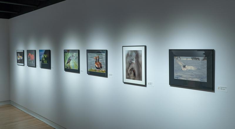 Exposition Découvertes Culturelles 2018