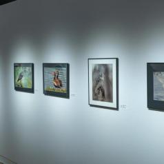 Exposition Découvertes Culturelles 2018