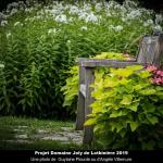 Projet Domaine Joly de Lotbinière 2019