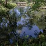 Projet Domaine Joly de Lotbinière 2019