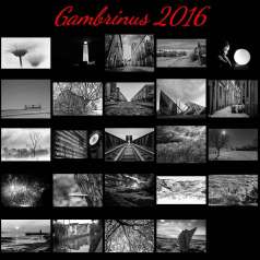Gambrinus 2016