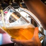 Gambrinus 2018