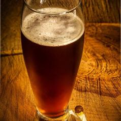 Gambrinus 2018