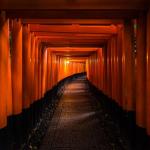 Un chemin tout tracé