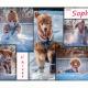 ClubPM expo chez Gosselin Photo 2018
