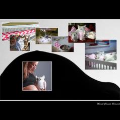 ClubPM expo chez Gosselin Photo 2018