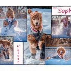 ClubPM expo chez Gosselin Photo 2018