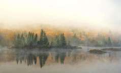 SPPQ 2014 - Nature 2 - Michel Allard