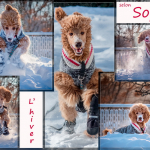 L hiver selon Sophie