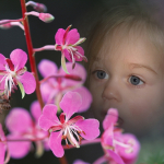 Quelle jolie petite abeille