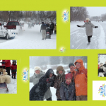 Patinage Officiel