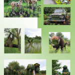 Mosaïcultures