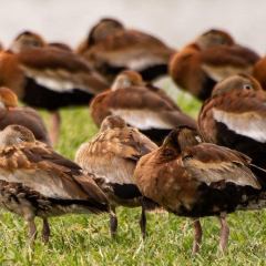2022 EXPO DU SALON DU LIVRE