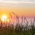 Les couleurs au crépuscule