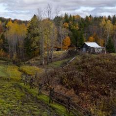 Thibault.Jacques - Paysage-d\'automne