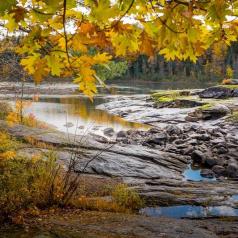 Marie-Claude Bernard