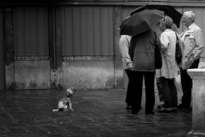 Attendre