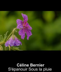 S'épanouir Sous la pluie