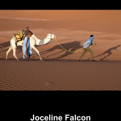 Vers le bivouac
