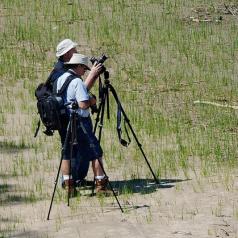 Une photo de Steve Hart