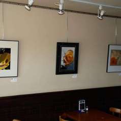 Une photo de Mario Groleau