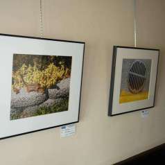 Une photo de Mario Groleau