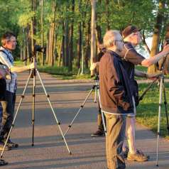2011-06 Sortie Parc Laviolette