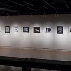 Exposition des Découvertes Culturelles de 2011