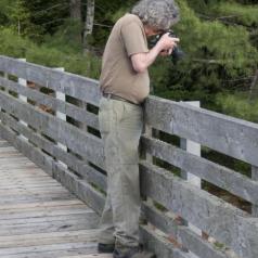 Une photo de Steve Hart