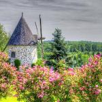 Une photo de Mario Groleau