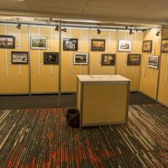 Une photo de Mario Groleau