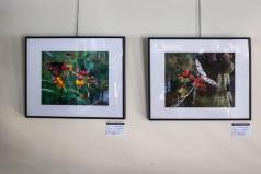 Expo Gambrinus 2019