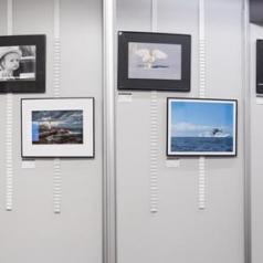 Salon du lvre 2019