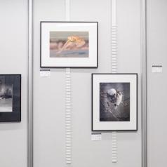 Salon du lvre 2019