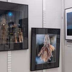 Salon du lvre 2019