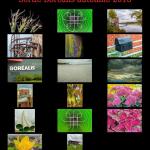 14 janvier 2019 - Sortie Boréalis automne 2018