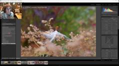 Lundi photo - Marie-Claude Bernard