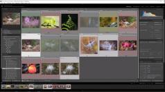 Lundi photo - Marie-Claude Bernard