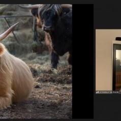 Présentation d'Yvan Cossette sur l'histogramme