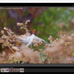 Lundi photo - Marie-Claude Bernard