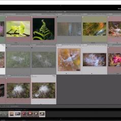 Lundi photo - Marie-Claude Bernard