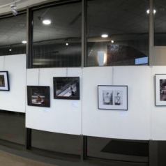 Accrochage exeposition «Distanciation» mars 2022