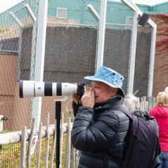 Sortie au Zoo de Granby le 1er octobre