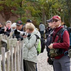 Sortie au Zoo de Granby le 1er octobre