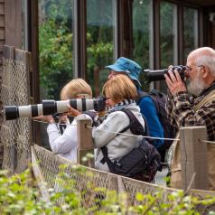 Sortie au Zoo de Granby le 1er octobre