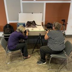 Atelier Macrophoto 24 oct 2022