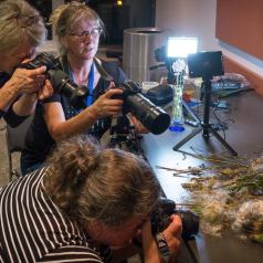 Atelier pratique macrophoto